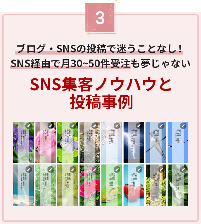 ブログ・SNSの投稿で迷うことなし！SNS経由で月30~50件受注も夢じゃない！SNS集客ノウハウと投稿事例